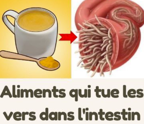 Top 7 des aliments qui aident à éliminer les vers intestinaux naturellement