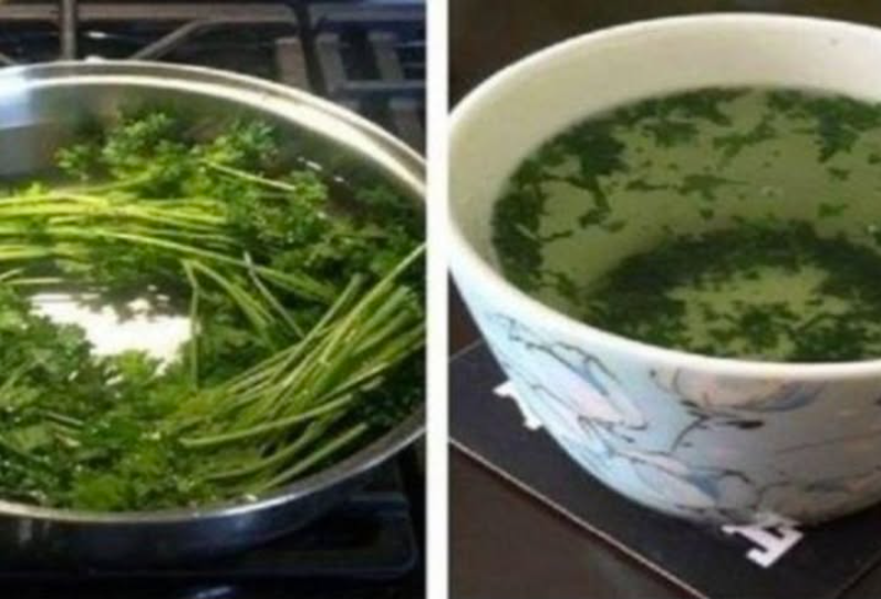 Thé au Persil : La Boisson Naturelle Qui Fait Tant Parler d’Elle