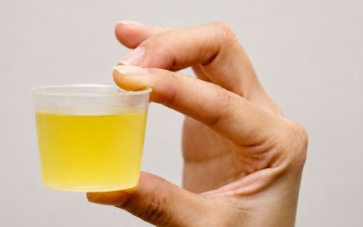 Voici ce que l’on ne vous dit pas sur l’eau citronnée du matin (16 bienfaits)